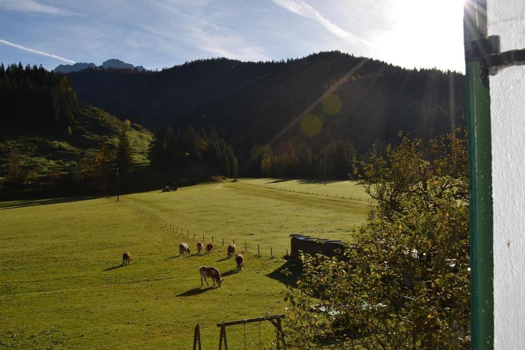 Ferienwohnungen Foidlhof Hochfilzen Zewnętrze zdjęcie