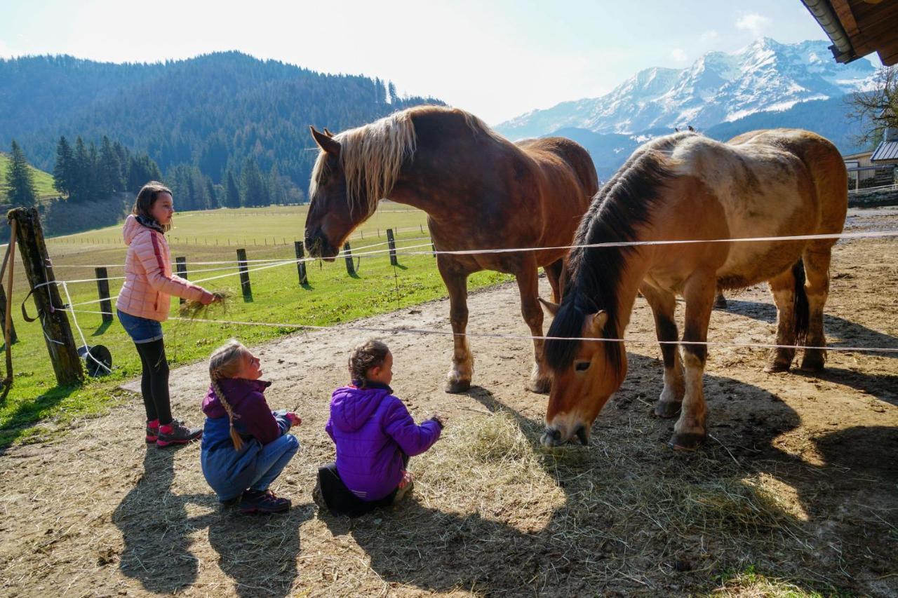 Ferienwohnungen Foidlhof Hochfilzen Zewnętrze zdjęcie