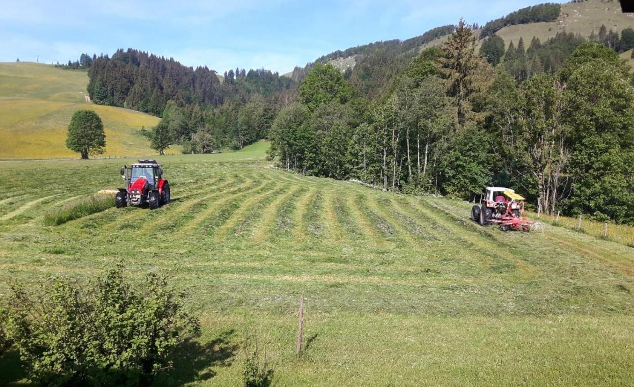 Ferienwohnungen Foidlhof Hochfilzen Zewnętrze zdjęcie